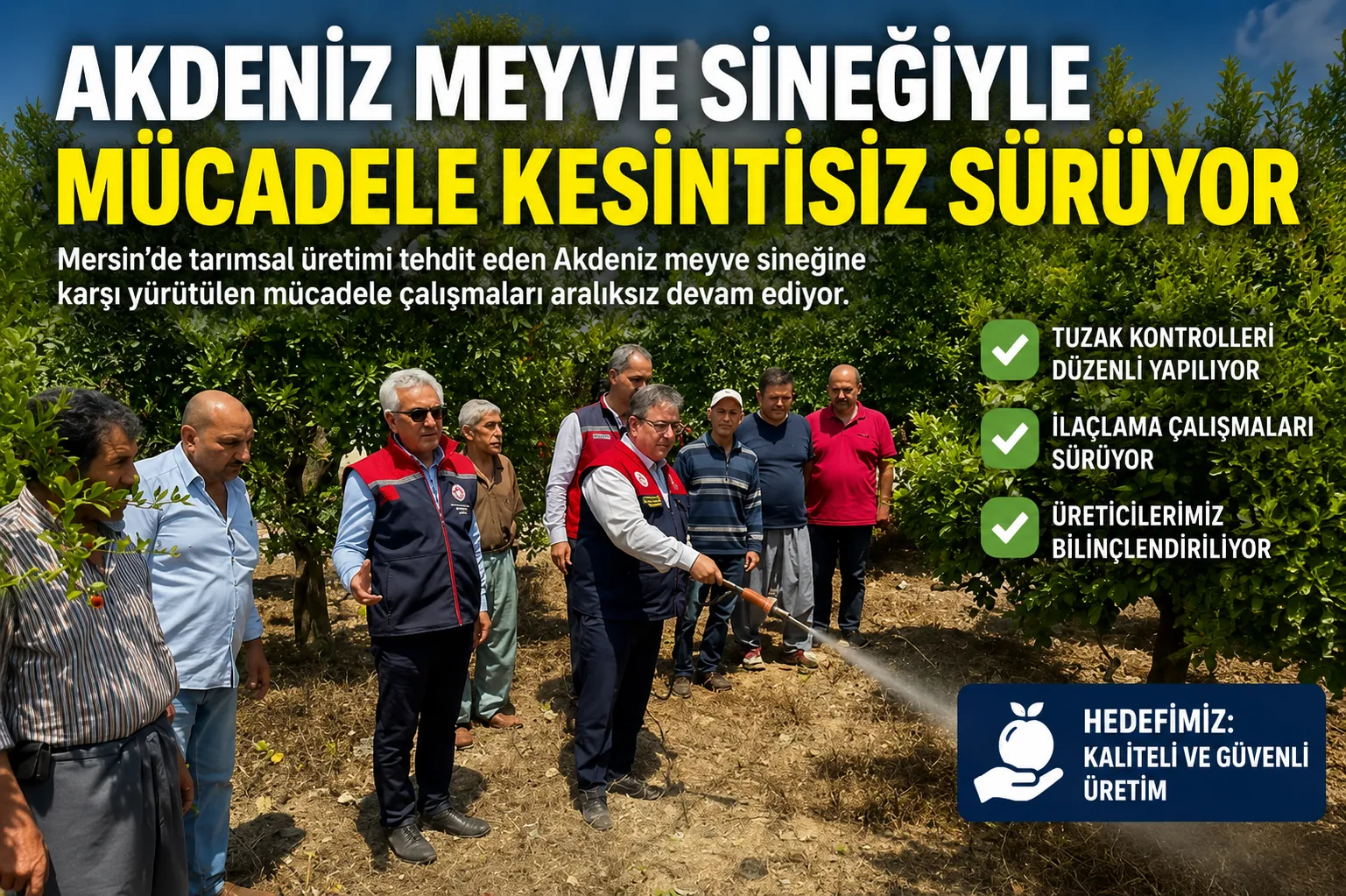 Akdeniz Meyve Sineğiyle Mücadele Kesintisiz Sürüyor